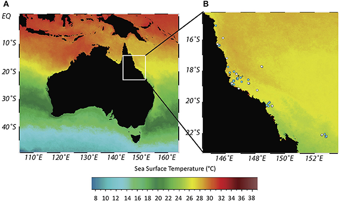 Frontiers Reconstructing Four Centuries Of Temperature Induced Coral Bleaching On The Great Barrier Reef Marine Science