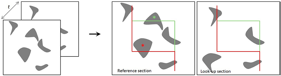 stereology based counting technique stereology based counting technique