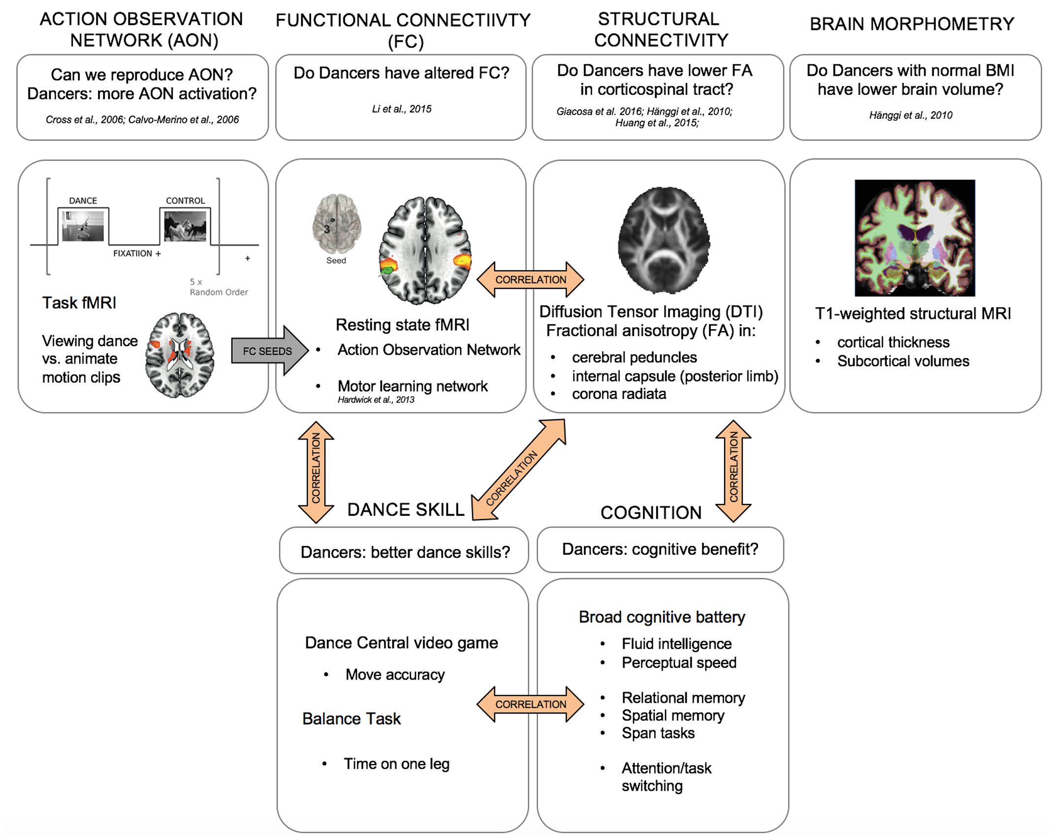 Frontiers The Dancing Brain Structural and Functional Signatures of Expert Dance Training