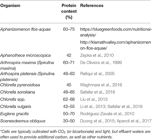 Life-cycle assessment of yeast-based single-cell protein