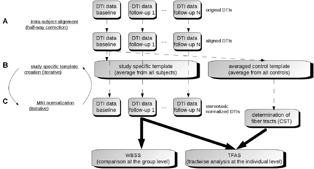 Mount Sinai Fiber Chart