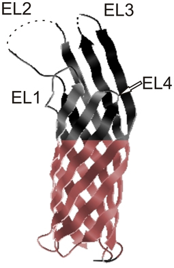 www.frontiersin.org