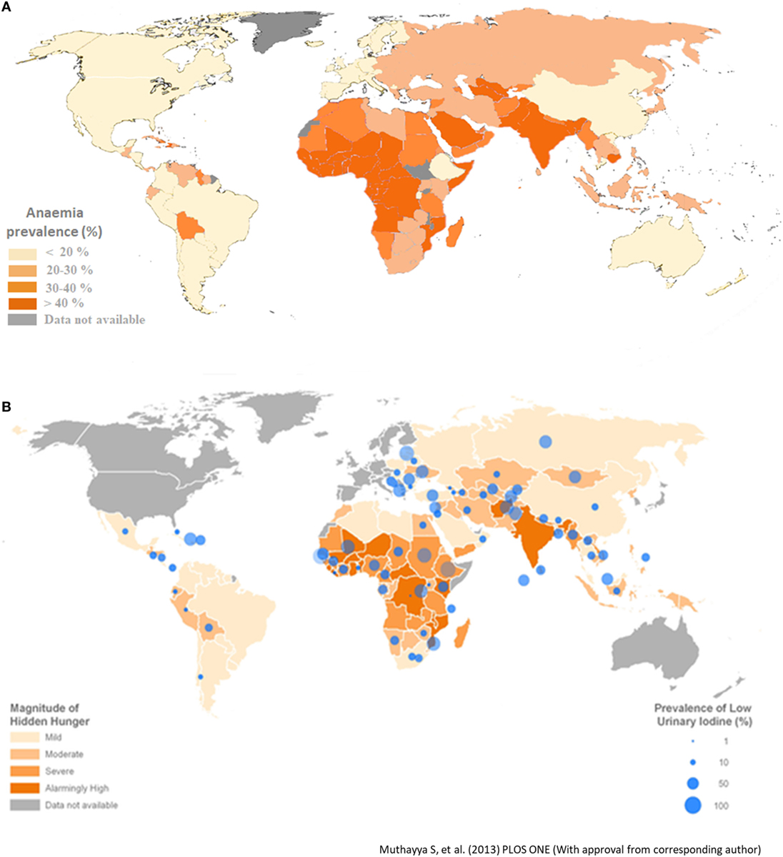 Global level. Flax Production Map. Estimated prevalence of anemia in pregnant. Causes of anemia prevalence.
