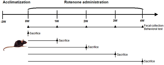 www.frontiersin.org