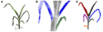 www.frontiersin.org