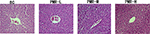 www.frontiersin.org