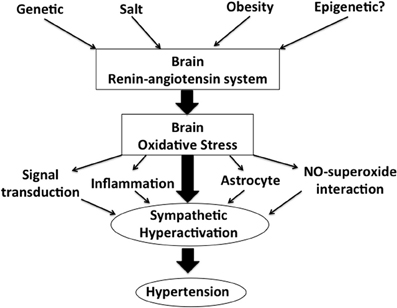 Stress and hypertension sales
