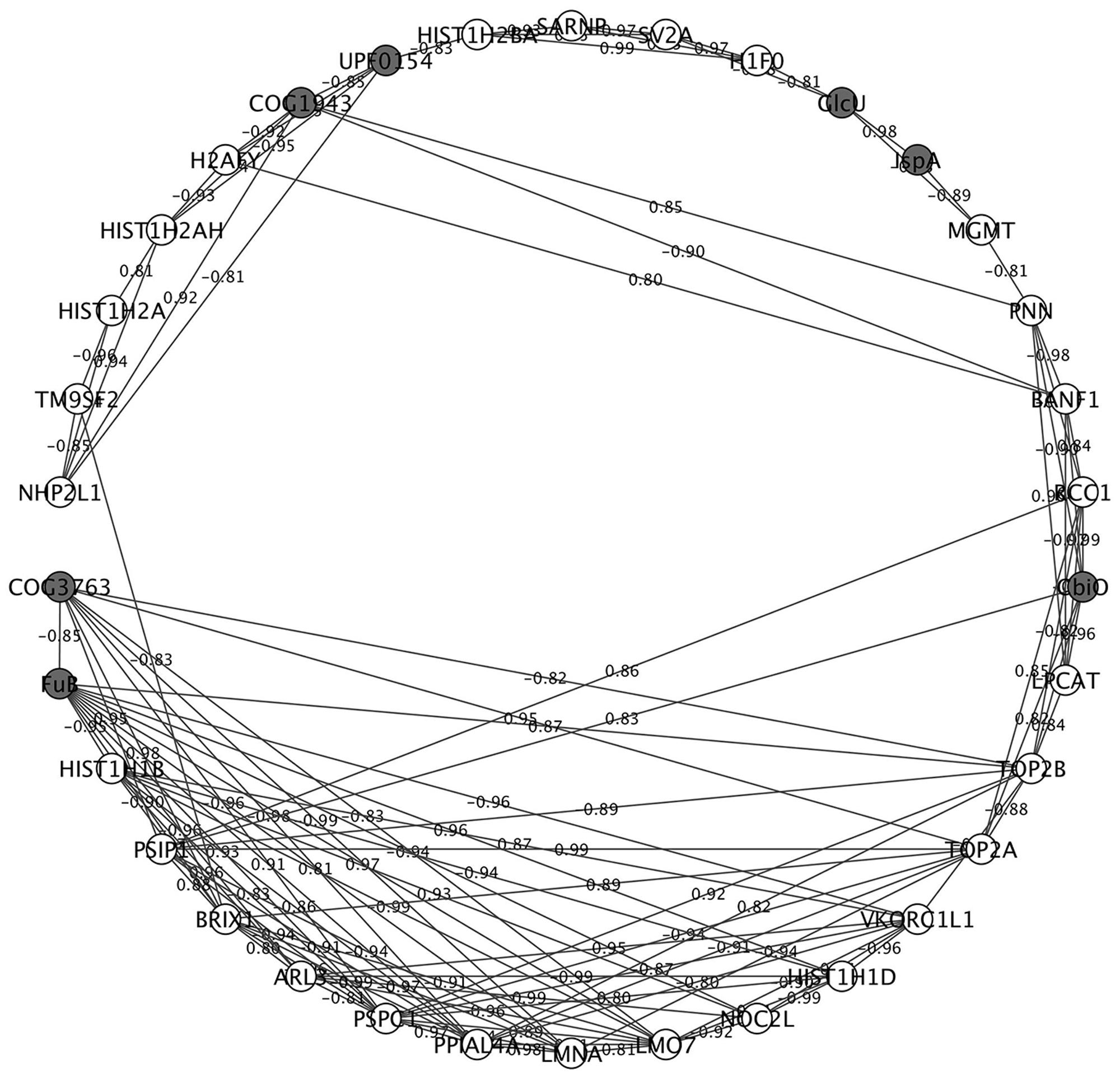 cytoscape visualization cytoscape visualization