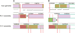 www.frontiersin.org