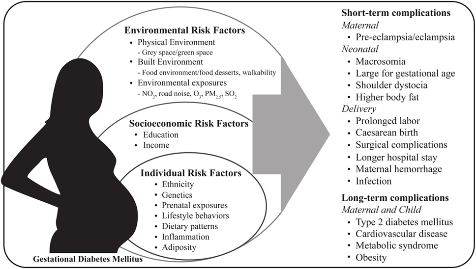 Frontiers Placental Nutrient Transport In Gestational Diabetic