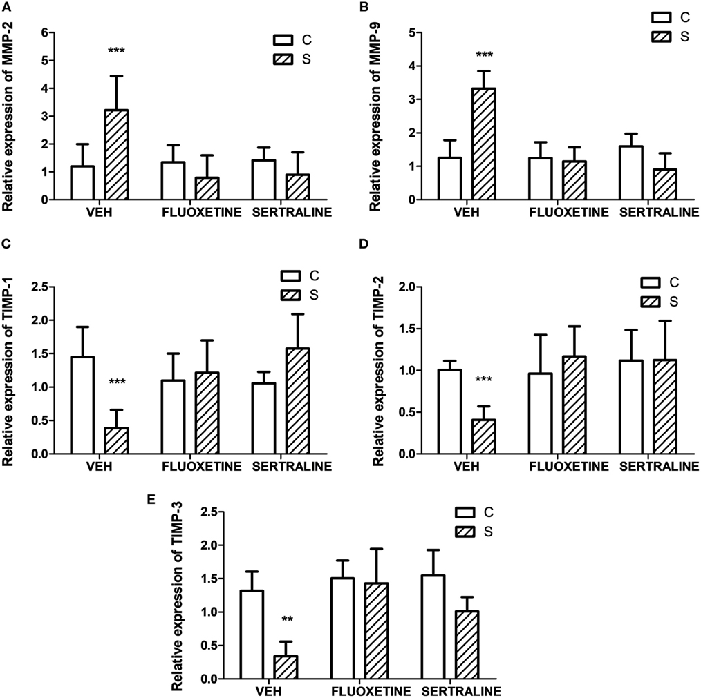 Frontiers Beneficial Effect Of Fluoxetine And Sertraline On Chronic Stress Induced Tumor Growth And Cell Dissemination In A Mouse Model Of Lymphoma Crucial Role Of Antitumor Immunity Immunology