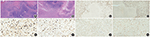 www.frontiersin.org