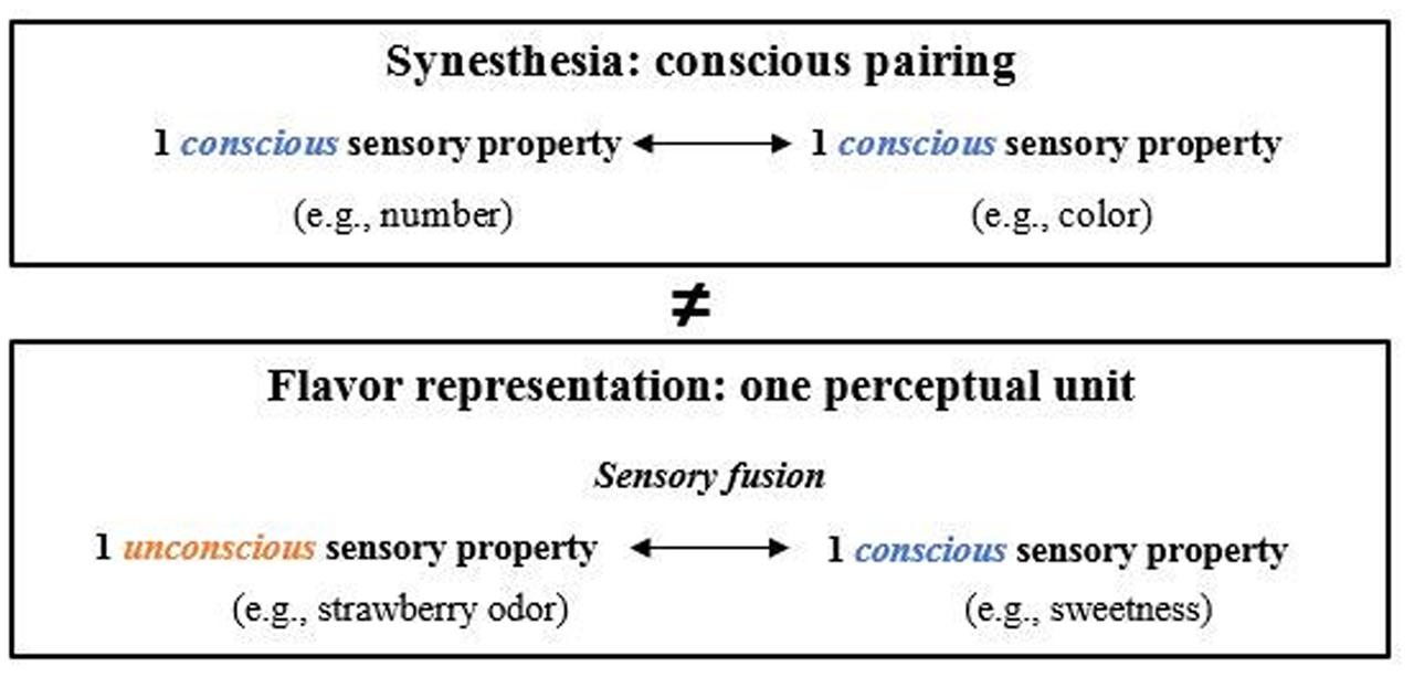 Synesthezia Columbia MD