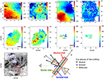 Frontiers - Negative and Positive Outflow-Feedback in Nearby (U)LIRGs ...