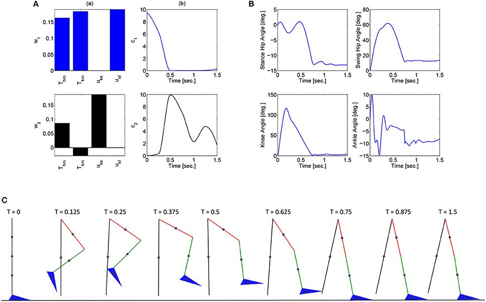 Frontiers A Control Scheme That Uses Dynamic Postural Synergies To Coordinate A Hybrid Walking Neuroprosthesis Theory And Experiments Neuroscience