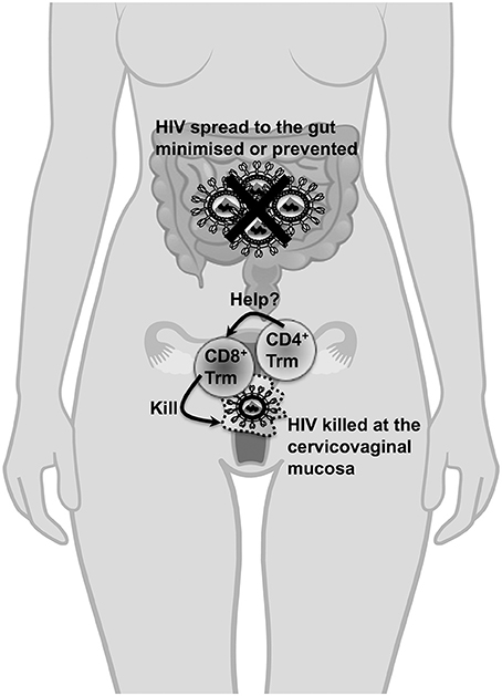 Sok papilloma a testen mit kell tenni - A HPV-fertőzés előfordulása