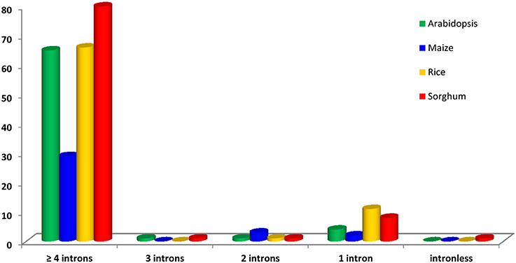 www.frontiersin.org