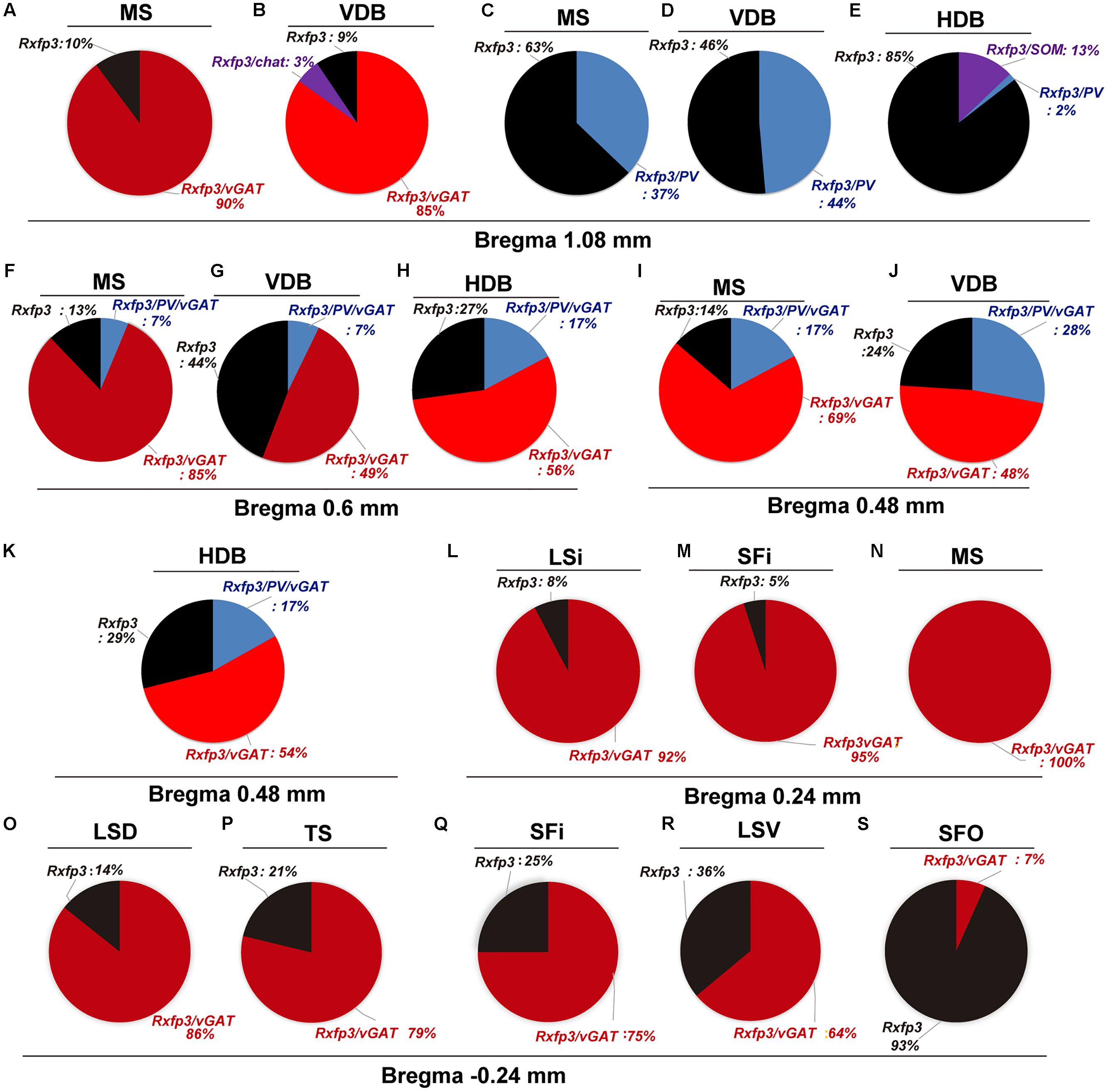 Darknet Websites List 2024