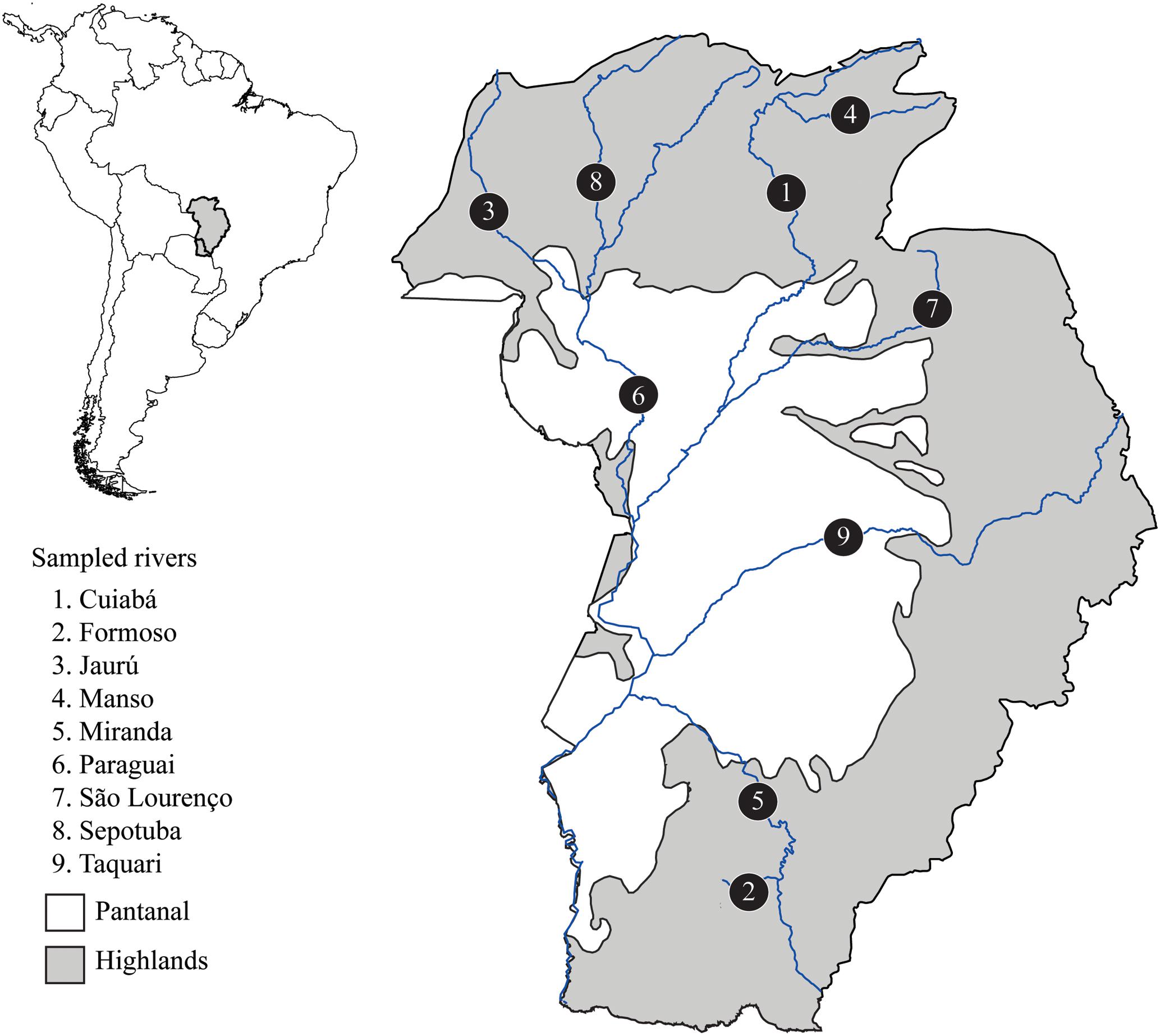 www.frontiersin.org