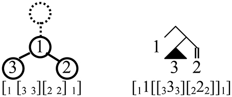 www.frontiersin.org