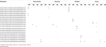 www.frontiersin.org
