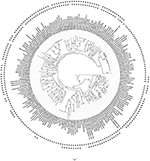 www.frontiersin.org