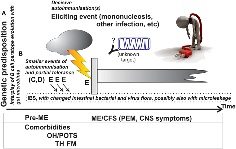 dysbiosis chronic fatigue)