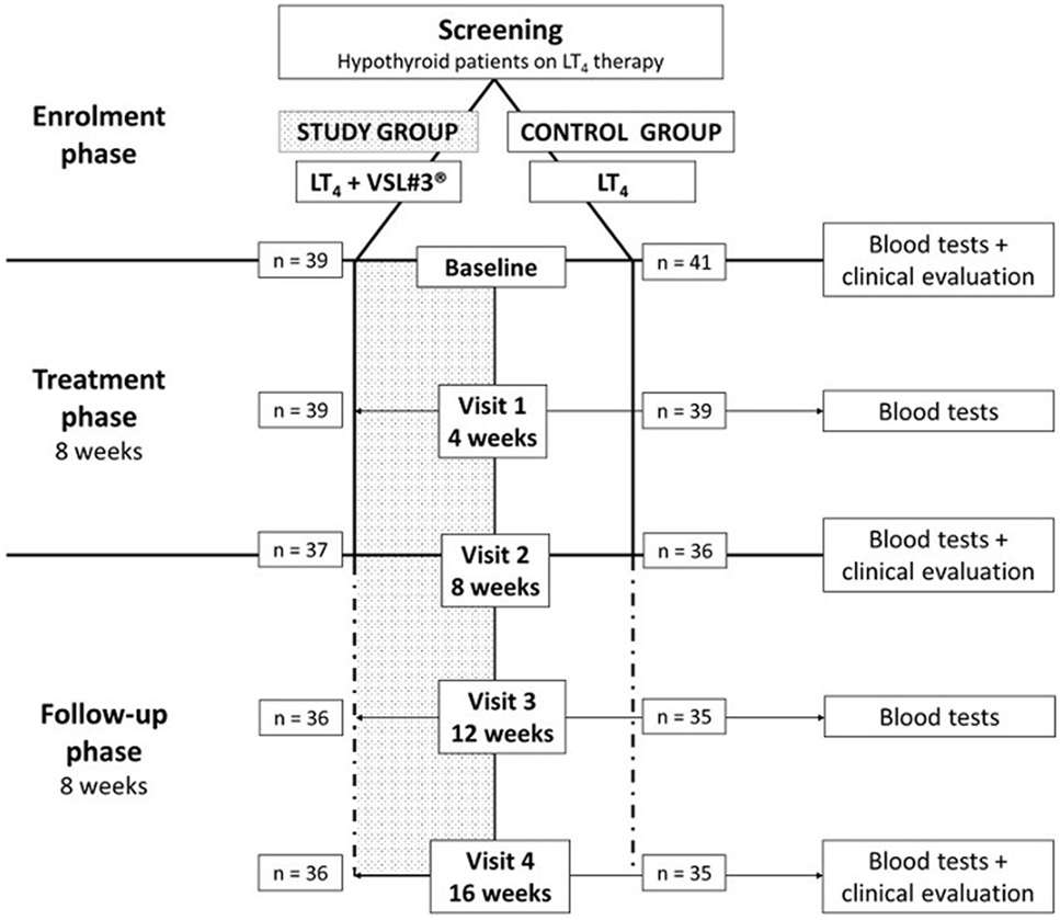 Thyroid Hormone Conversion Chart