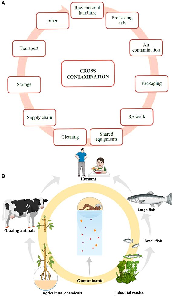 Frontiers | The Sources of Chemical Contaminants in Food and Their Health Implications