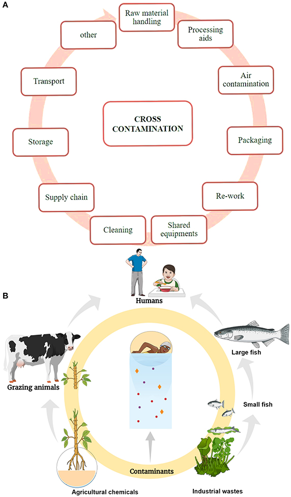 4 Types Of Contamination Pollution Model Four Types Of Pollution - Gambaran