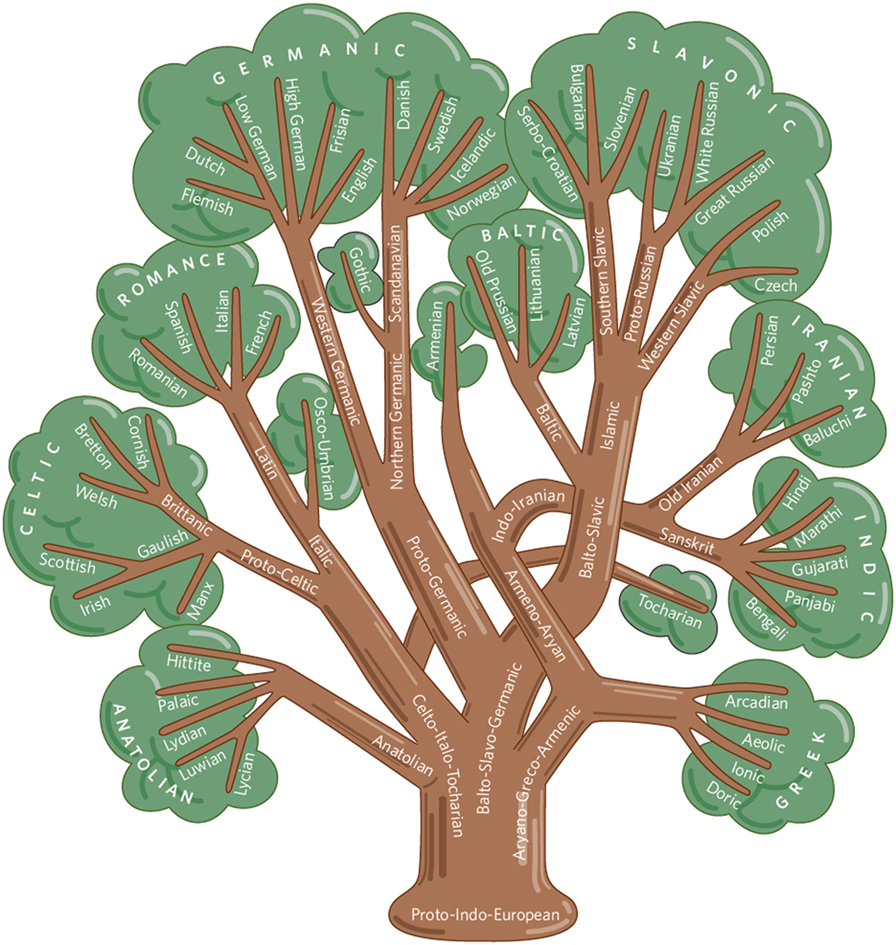 Индоевропейские ветви. Индоевропейская семья Древо. Индоевропейская языковая семья дерево. Генеалогическое дерево индоевропейских языков. Дерево языков Минна Сандберг.