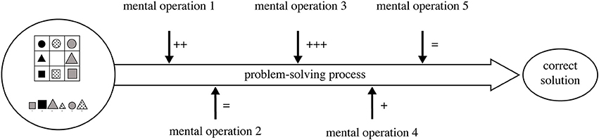 piaget concrete operational stage examples