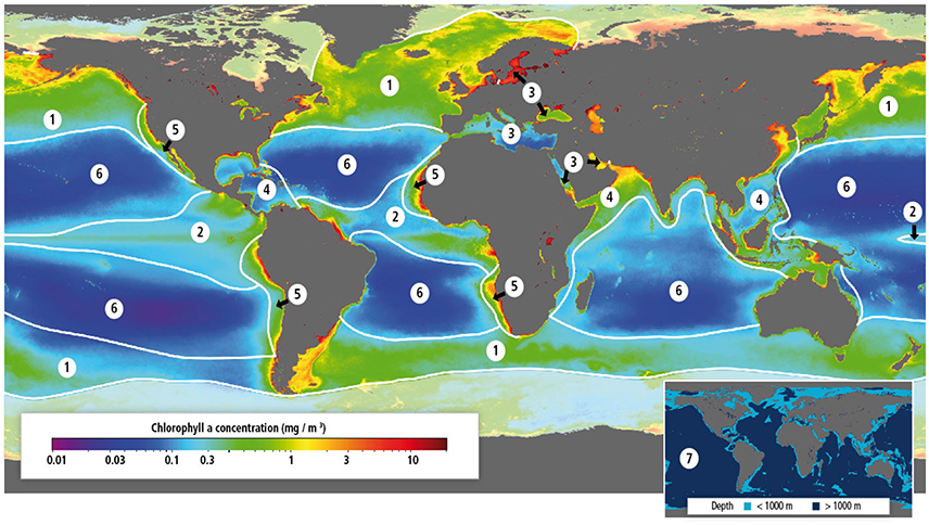 Pacific Maritime climate Region. Polar area. Chlorophyll distribution in the World Ocean in August 1999 according to the SEAWIFS Sea Color Scanner. The Country across the Ocean 6 класс страница 53. The country across the ocean контрольная