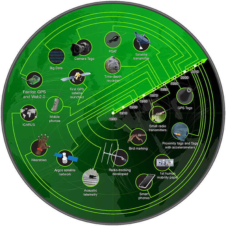 Frontiers How Big Data Fast Tracked Human Mobility Research And The Lessons For Animal Movement Ecology Marine Science