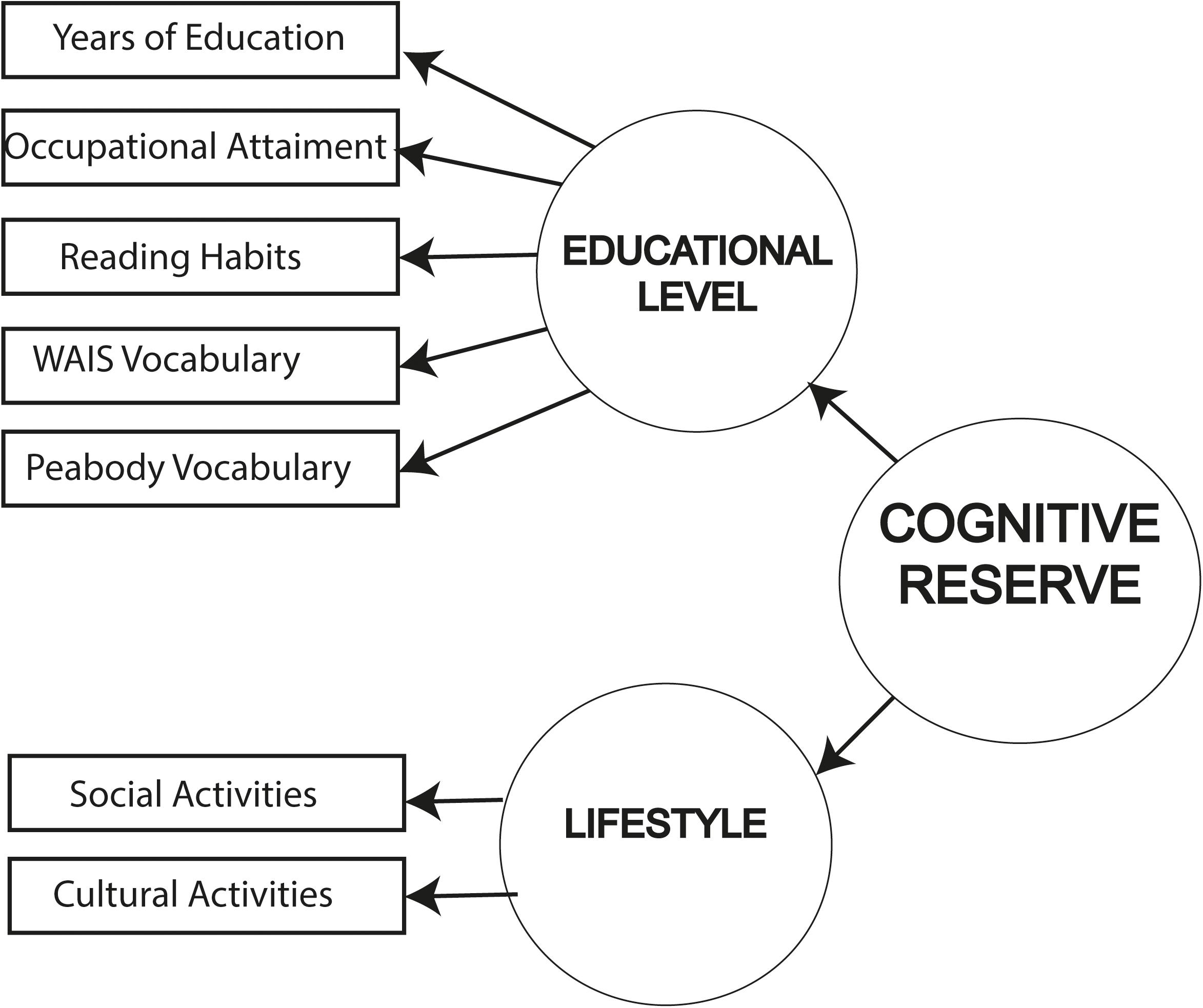 What is 'cognitive reserve'? How we can protect our brains from