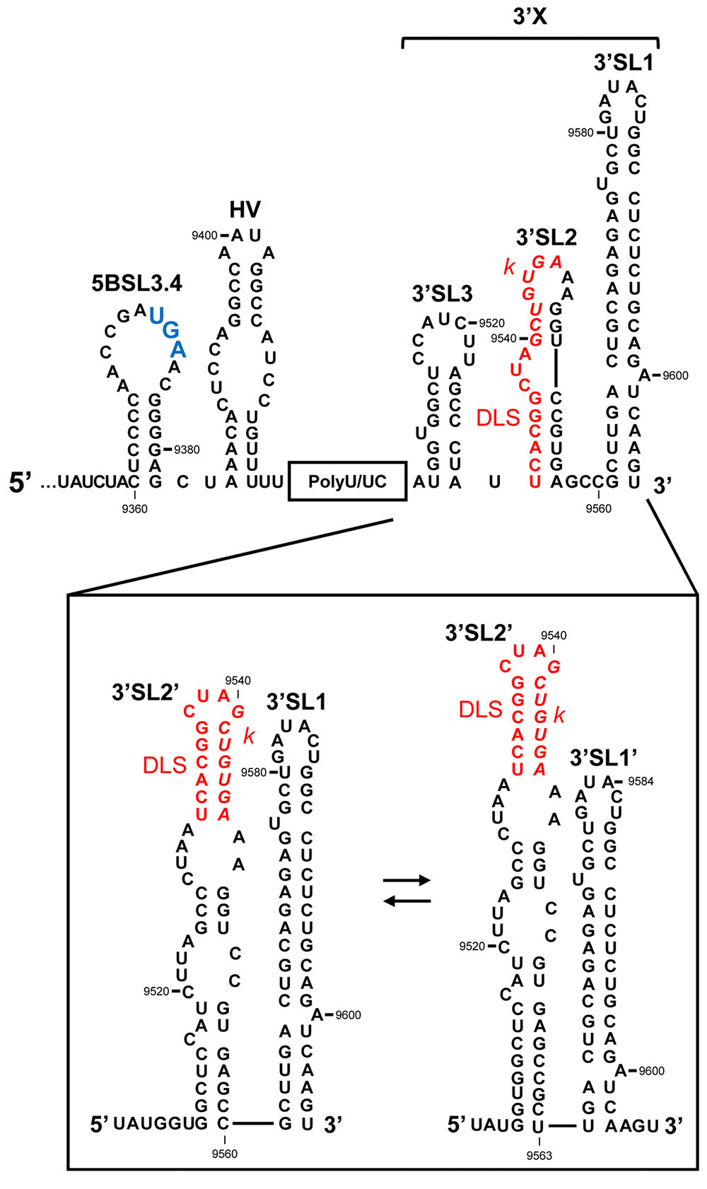 epub language structure