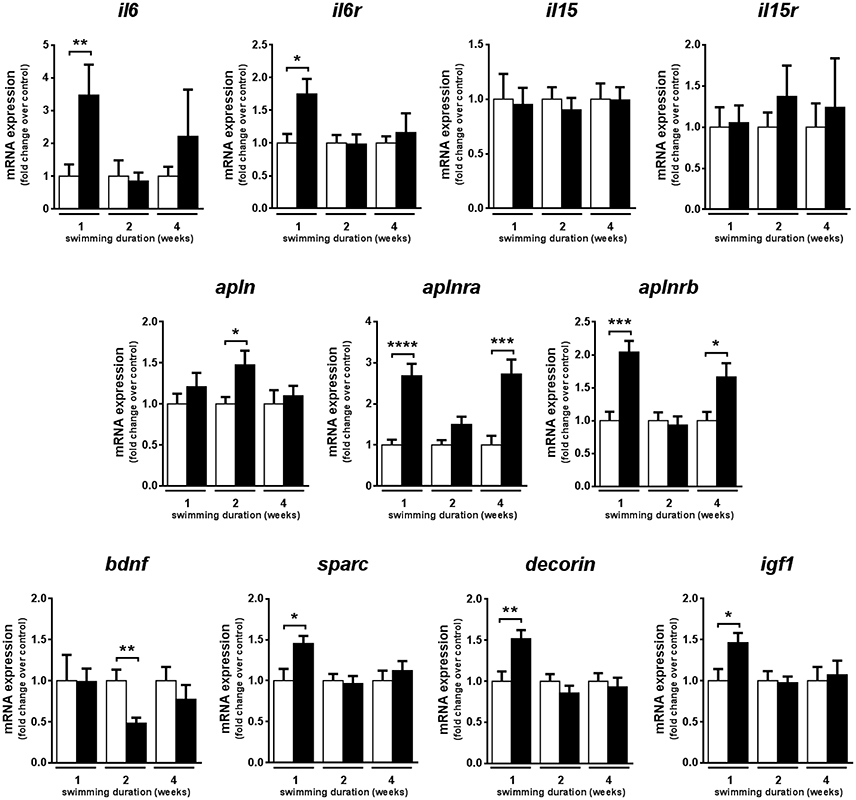 Expression levels. SPARC (secreted Protein acidic and Rich in Cysteine). Secreted Protein acidic and Cysteine Rich.