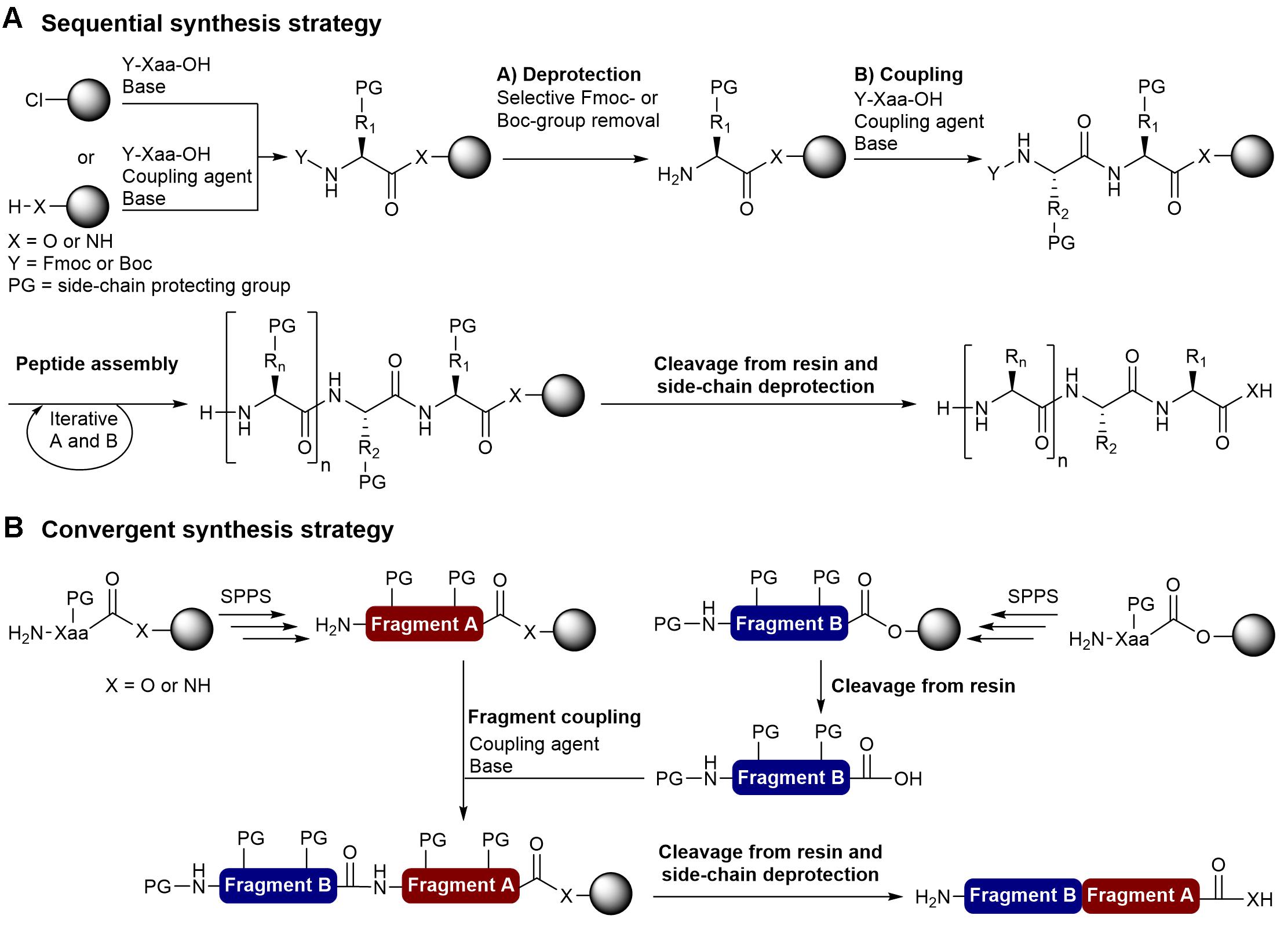 peptide synthesis resin