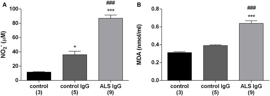 Calcium Signaling Pathways Mediating Synaptic Potentiation Triggered by  Amyotrophic Lateral Sclerosis IgG in Motor Nerve Terminals