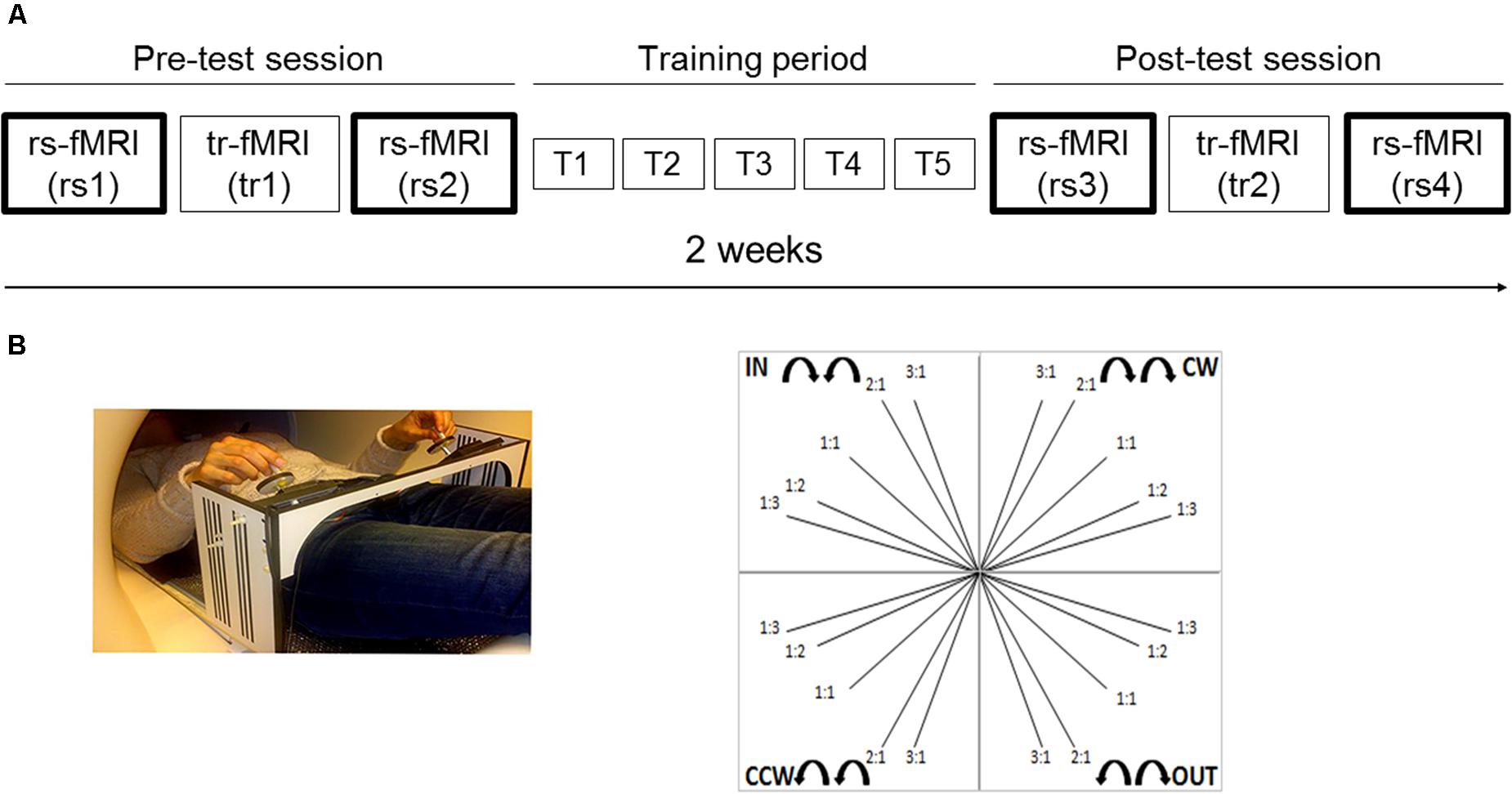 Frontiers Age Dependent Modulations Of Resting State