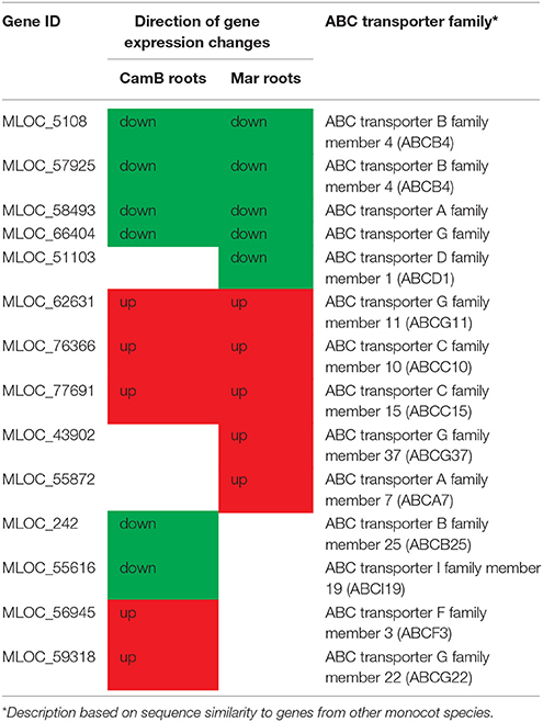 Pin em ABC Family Members