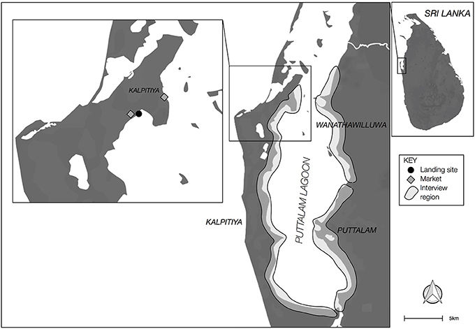 In Sri Lanka and beyond, seagrass key to livelihoods, marine habitats