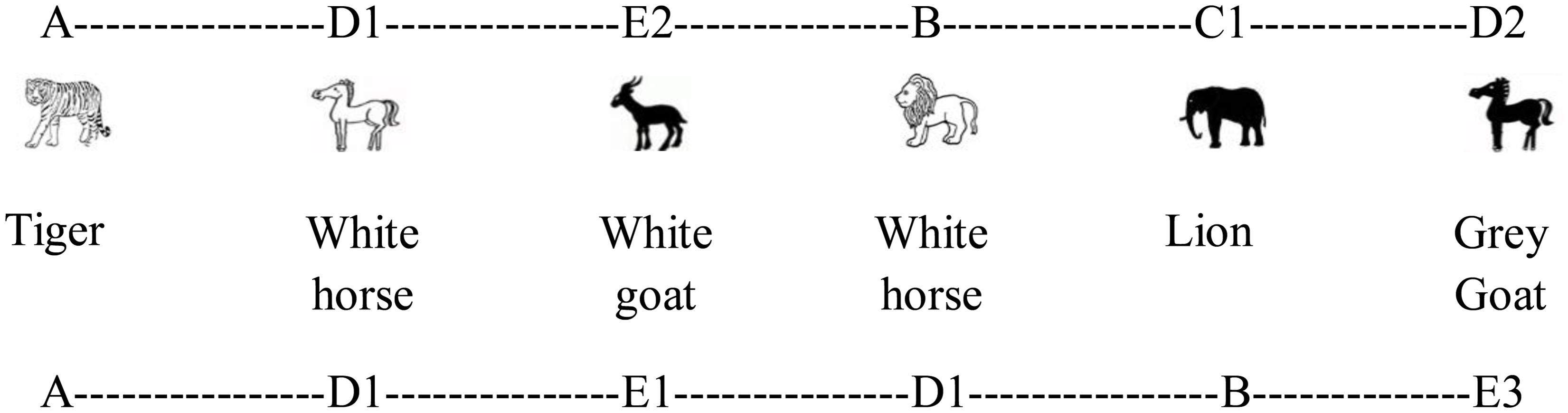 www.frontiersin.org