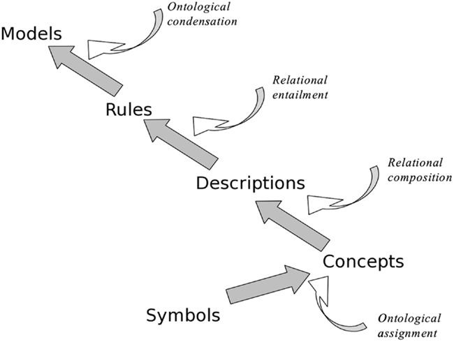 Frontiers | A Canonical Theory of Dynamic Decision-Making