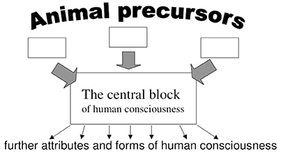 The Self-Aware Universe: How Consciousness Creates the Material