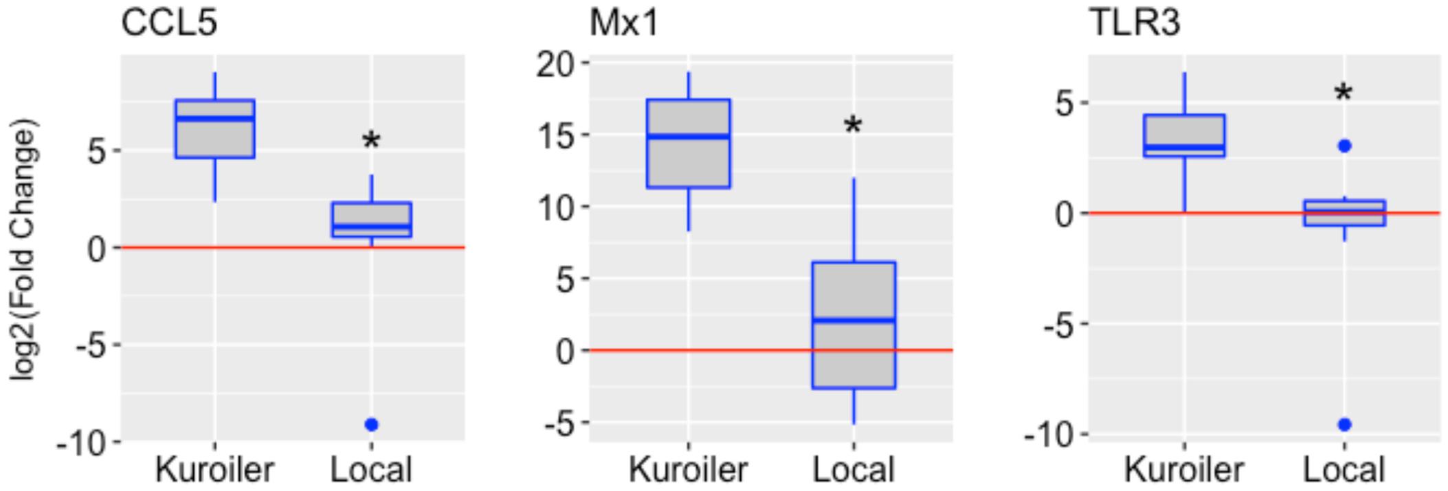 Frontiers  Classification of breed combinations for slaughter pigs based  on genotypes—modeling DNA samples of crossbreeds as fuzzy sets from  purebred founders