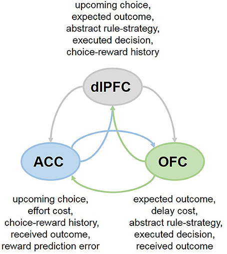 credit assignment problem wiki