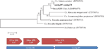 www.frontiersin.org