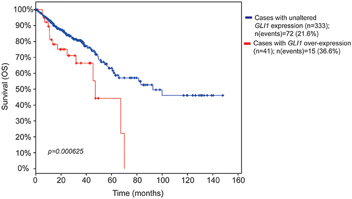 Uiterlijk Rang corruptie Frontiers | SMO Inhibition Modulates Cellular Plasticity and Invasiveness  in Colorectal Cancer