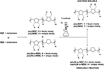 New Biobased Polymer Building Blocks Wiki New Biobased Polymer Building Blocks Wiki
